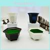 White Hexagon Plant Container With Plastic Material For Indoor And Outdoor Decor