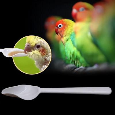 5 Stück Aufzuchtfutterlöffel mit manueller Spritze Vogelbaby Milch Medizin Fütterungsspritze Hitzebeständiger Kunststofflöffel