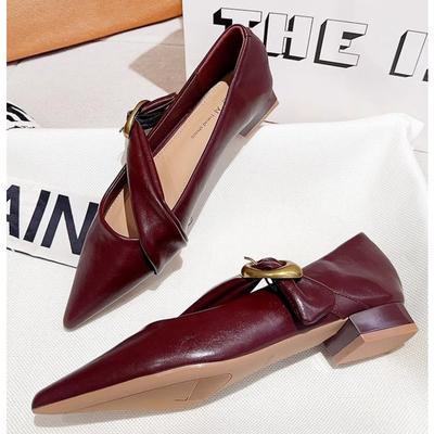 Moda Nowy Styl Popularne Wiosenne Vintage Damskie Buty Mary Jane z Ostrym Czubkiem Płaski Grubszy Obcas Modne Buty na Wesele Imprezę Zapatos Mujer