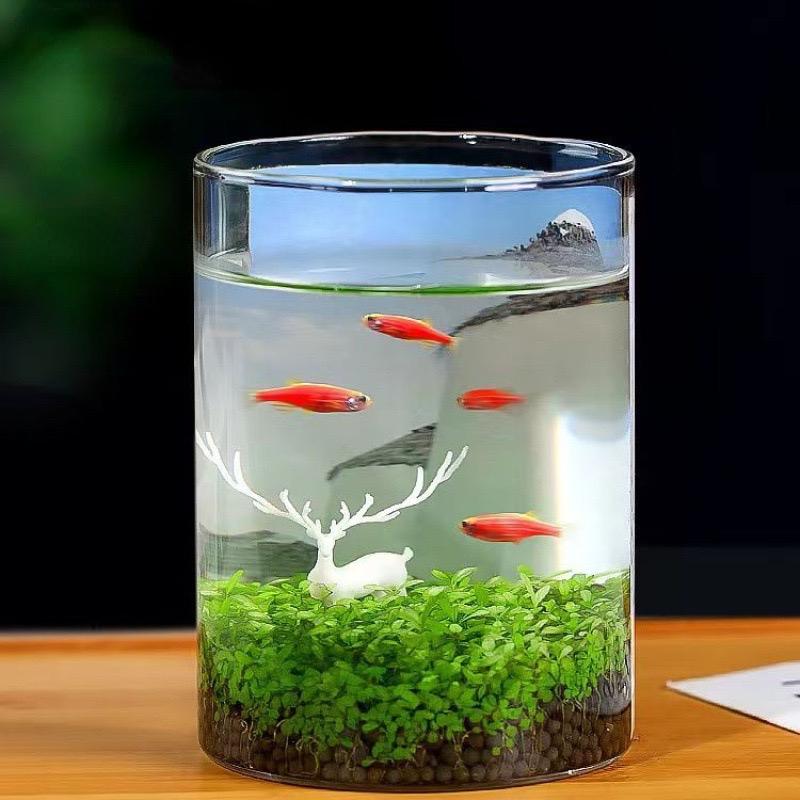 Válcová skleněná hydroponická váza na květiny, svatební dekorace, větruodolný kryt, ekologická skleněná nádrž na lahve