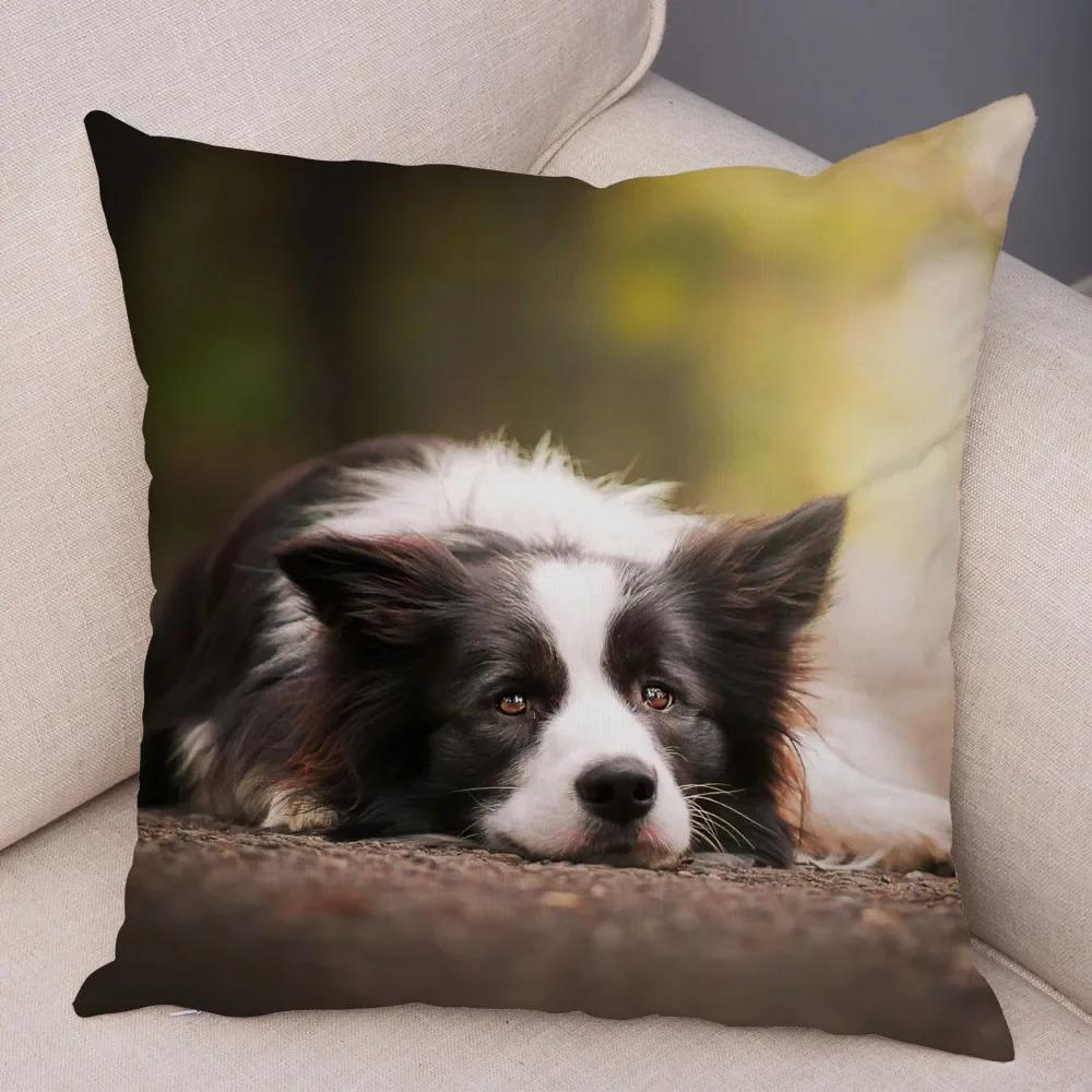 Yumuşak Peluş Sevimli Evcil Hayvan Hayvan Yastık Kılıfı İskoçya Border Collie Yastık Kılıfı Kanepe Araba Dekoru Köpek Baskılı Yastık Kılıfı,(1)