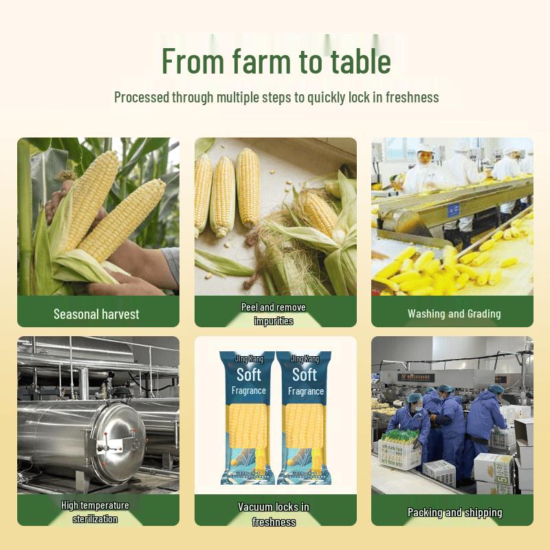 Suikang Sweet White Waxy Corn