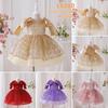Girls' 2026 Formal Mesh Princess Dress with Big Bow and Puffy Skirt, Ideal for Runway and Performances.