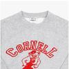Wild Donkey Heather Grey Unisex Sweatshirt Cornell