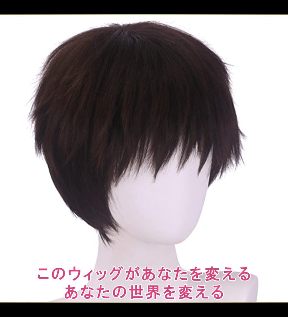 CaseEden Cosplay Wig, Short, 30cm, Heat-Resistant, Dark Brown, Includes 2 Wig Nets