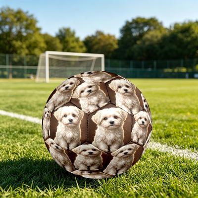 1pc Fluffy Maltese Pup Theme Soccer Ball Football, Size 5, Lightweight PVC, Outdoor Training Soccer Ball,Gift C6585