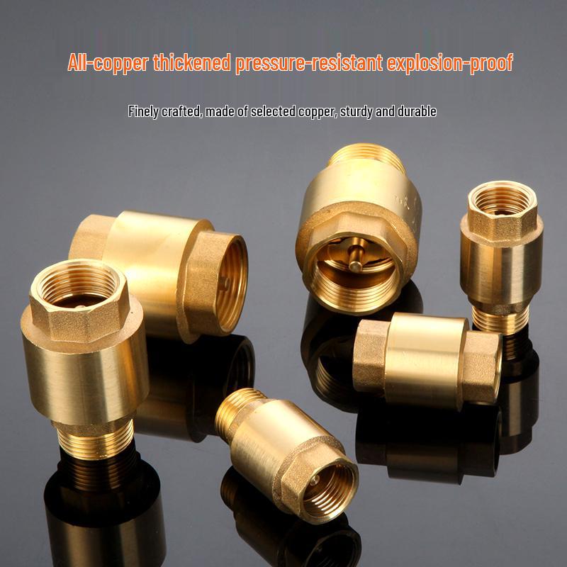 All-Copper 1-Inch Vertical Spring Check Valve with Male/Female Threads, One-Way Backflow Preventer for Water Pipes and Meters.