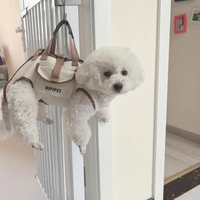 Small Breed Cartoon Crossbody Pet Sling Carrier Bag