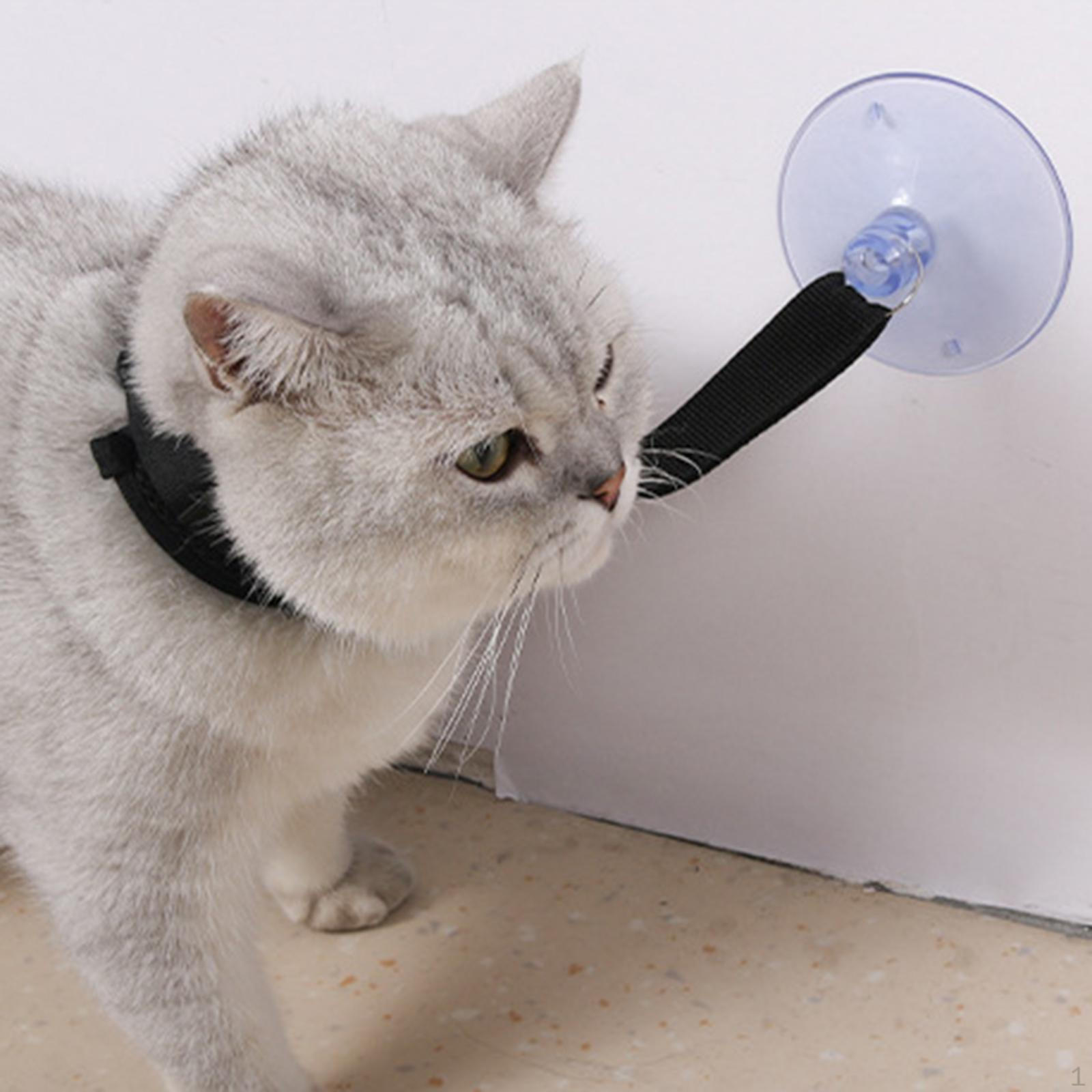 

Регулируемый ошейник для купания домашних животных с надежной присоской — удобный уход за собаками и кошками Small