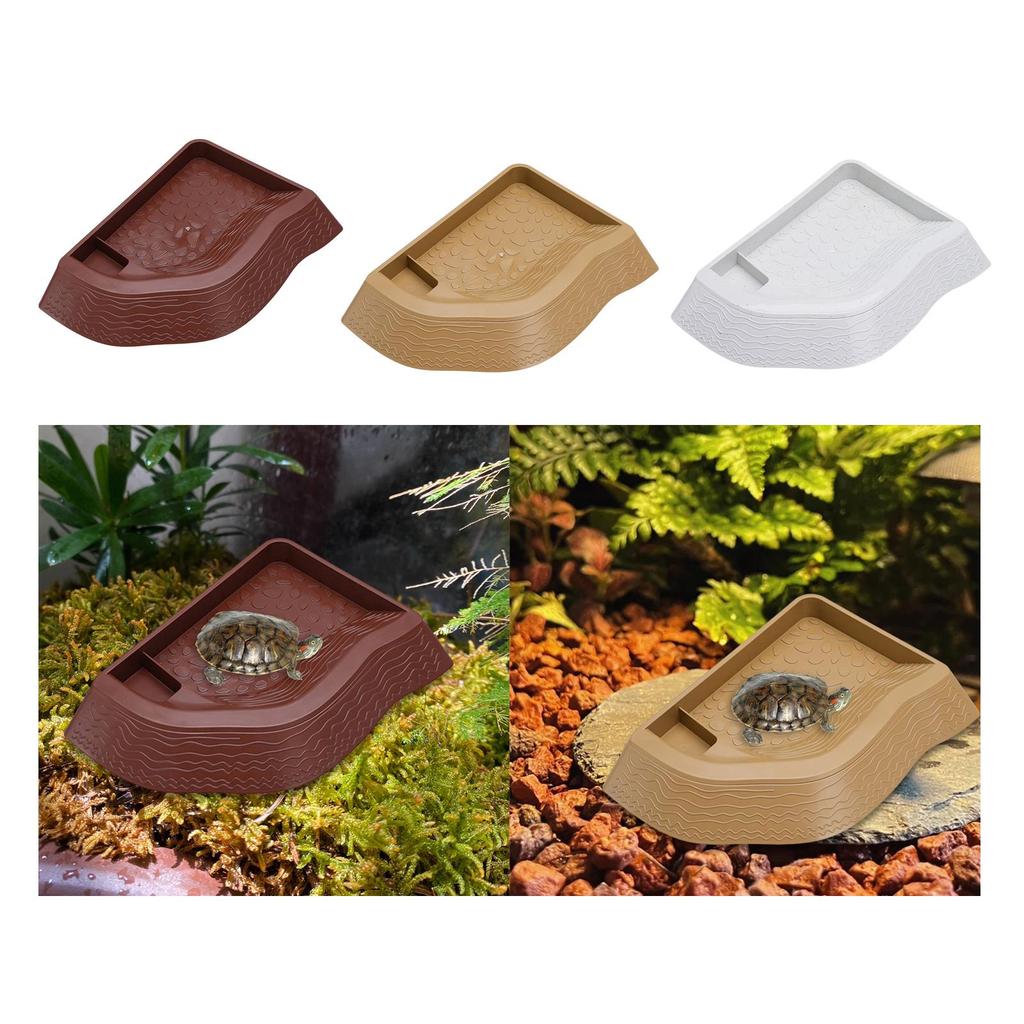 Turtle Bathing Pool, Reptile Water Bowl, Aquarium Ornament, Landscape Feeding Bowl, Turtle Feeder for Bearded Dragons,
