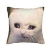 Home Decor Meowl Cat Owl Meme Pillowcase Accessories  Pillow Cover Square Multi-Size