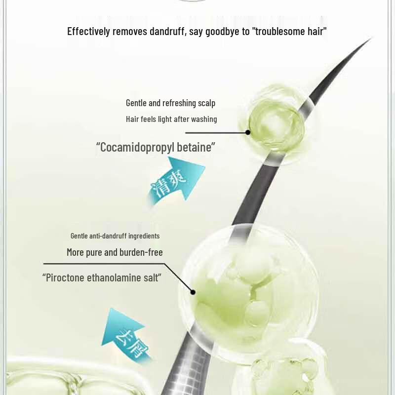 October Angel Thyme Refreshing Anti-Dandruff Shampoo