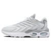 Air Max TW 'Pure Platinum Wolf Grey' Czysty Platynowy/Biały/Szary Wilczy/Biały DV7721-002