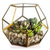 Cylinder Glass Terrarium Eco-Friendly Miniature Fairy Garden Container Air Plant Holder for Home Tabletop Decor Gift