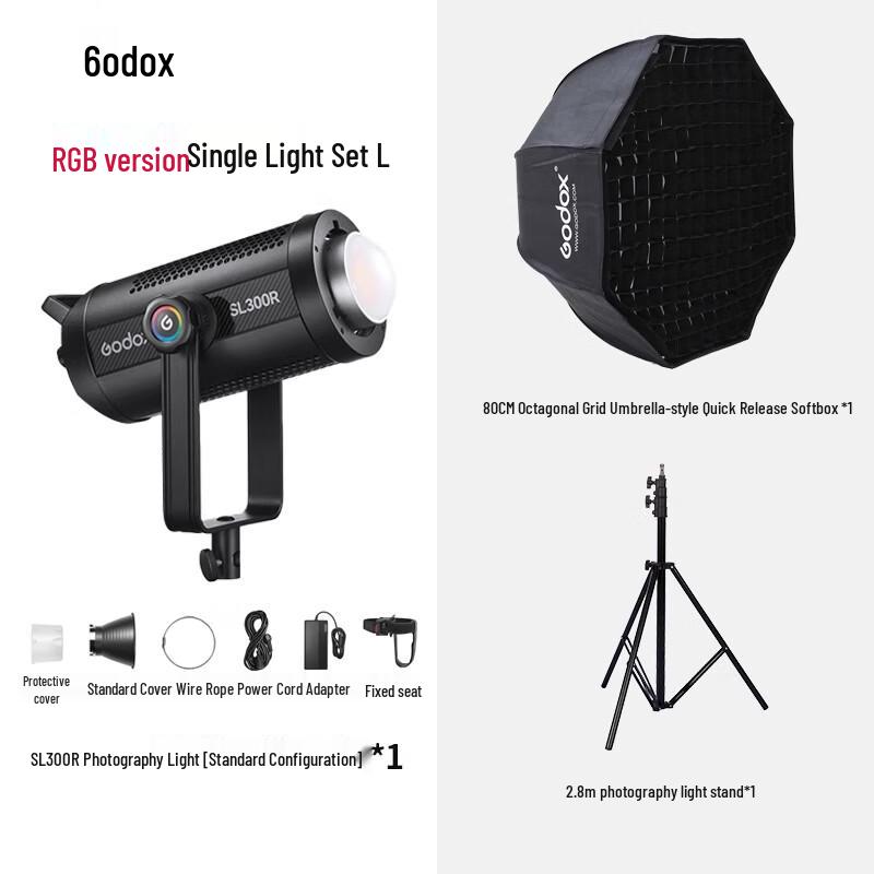 Godox SL300R LED Continuous Light Kit with 80cm Octagonal Softbox