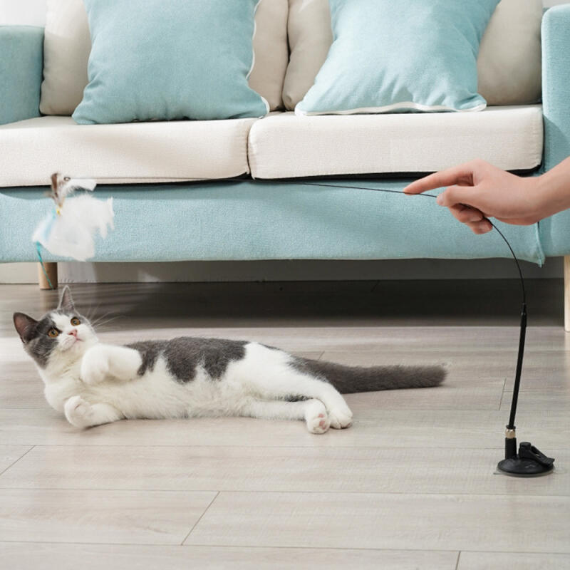 Cat Attachment Feather Fishing Rod