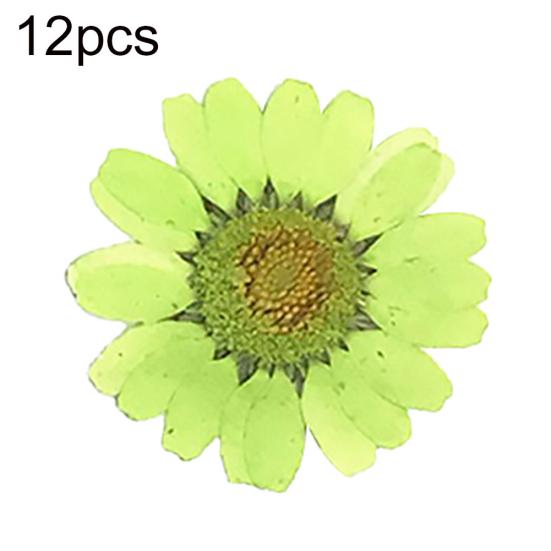 12 sztuk Prasowane Suszone Naturalne Kwiaty Żywica Epoksydowa Crafting Paznokci DIY Dekoracja Telefonu