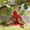 Organic Wood Wild Bird supplier daubed Red Climate Proof Build Suitable For Yard Or deck arrange