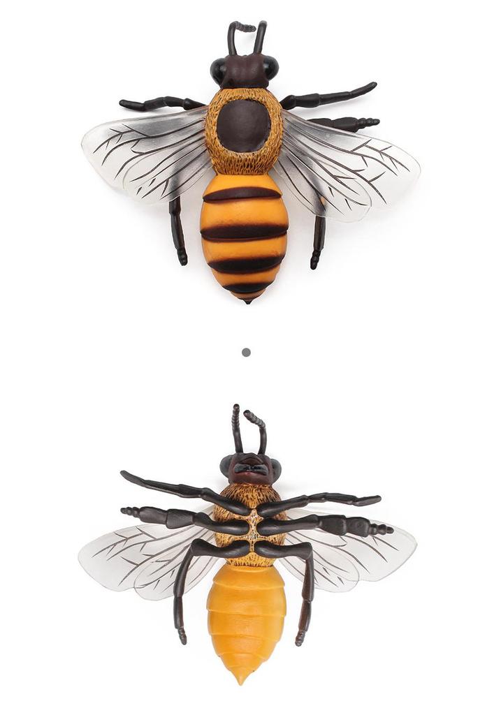 Children's Large Wild Insects Cognitive Simulation Toy - Bee, Wasp, Hornet Model Decoration
