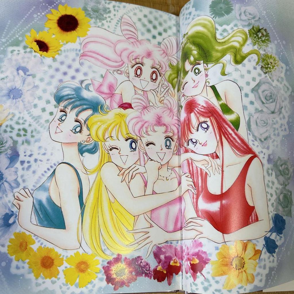 [USED] Sailor Moon Art Book vol.2 + Illustrations with Files