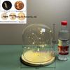 Luminous Sea Urchin Glass Dome with Preserved Flowers and String Lights