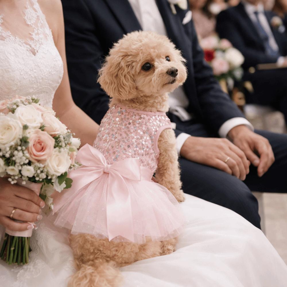 Elegant Bowknot Puppy Dresses Sequin Pet Wedding Dresses Fashion Pet Cat Costume  Small Medium Cats