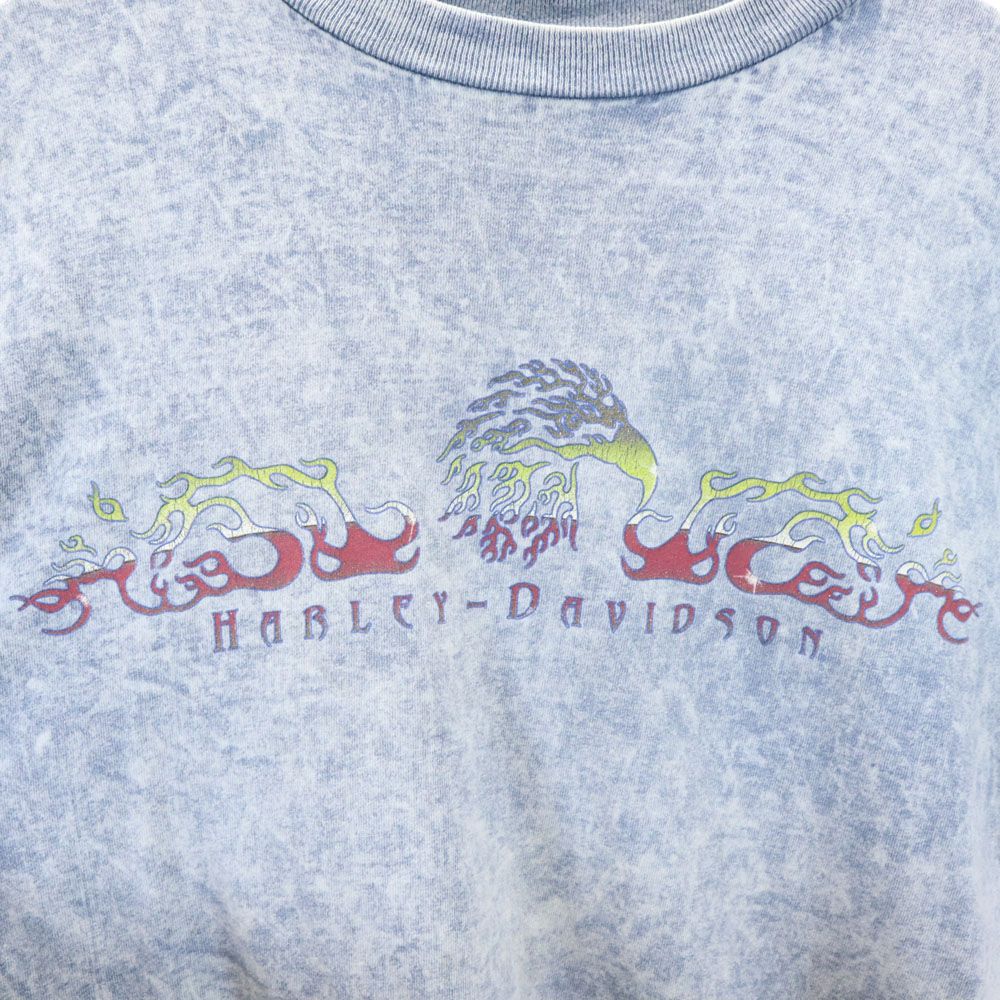 Harley Davidson Print Short Sleeve T-shirt L Blue Men's Used