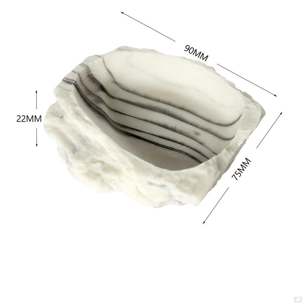 Reptile Water Bowl Feeder Tank Decor Decorative Feeding Bathing Pool for Chameleon