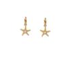 Gold-Starfish Zircon Earrings: Women's Vacation Style, Chic & Elegant Niche Design, Vibrant Fashion Statement