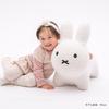 Ides Bruna Bonbon Fluffy Rabbit White Fluffy Huggable Plush Toy for Ages 3 and Perfect As a Birthday Comes with Air Pump [Official] Up, Gift,