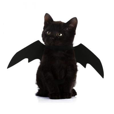 Haustier Hund Katze Fledermaus Flügel Cosplay Prop Halloween Kostüm Outfit Flügel Kostüme Foto Requisiten Kopfbedeckungen