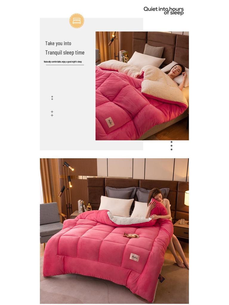 Double-Sided Lambswool Fleece Quilt: Thick, Warm Comforter for Winter, Spring, and Autumn