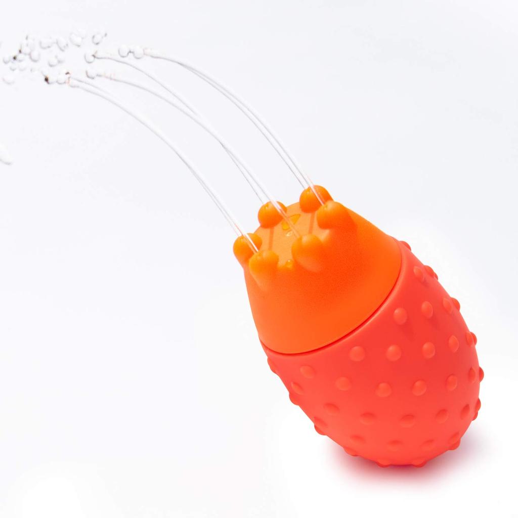 Sassy Squeeze Shower TYSA13050 Bath Toy for Bath and Pool (13050FAAM)