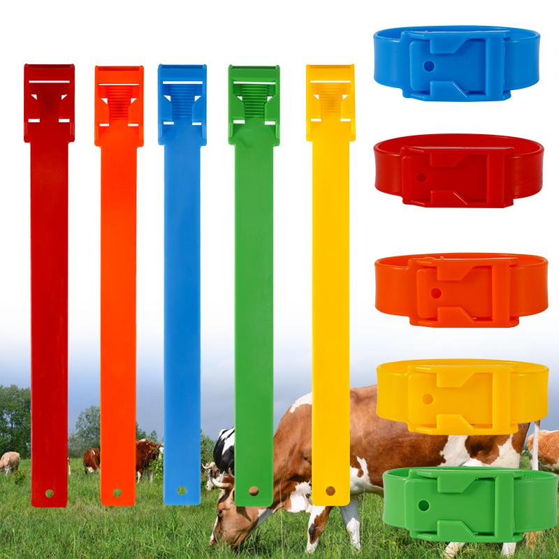 Cattle Hoof Ring 5/10/20 Pcs Identity Recognition Tool Farm Animals Cow Anklet Adjustable Wordless Horse Lvestock Marking Tools