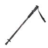 Sheng Rong Qian 3-Section Telescopic Trekking Pole