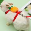 Cartoon Fruit Harness Rabbit Cat Harness And Leash Set Adjustable Pet Harnesses For Small Animals Outdoor Walking Traction Rope