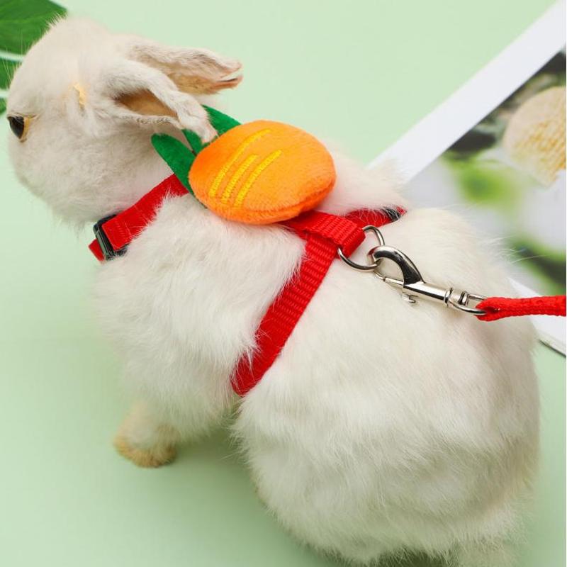 Cartoon Fruit Harness Rabbit Cat Harness And Leash Set Adjustable Pet Harnesses For Small Animals Outdoor Walking Traction Rope