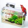 Parrot Figurines Aquarium Ornaments Fun Simulation Parrot DIY Landscaping Decorations Fish Tank Accessories