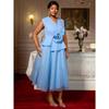 Plus Size Women's Light Blue Elegant V-neck Dress 3D Floral Formal Party Evening Gown