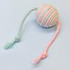 Sisal Balls for Cats Teasing Indoor Exercising Enrichment Cats Chew Toy Hunting Teething Cats Teasing Supply 6PCS