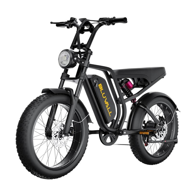 BLUVALL SU8 Adult Ebike,1200W Peak,52V 20Ah Removable Battery,20×4 Fat Tire Dual Suspension Hydraulic Disc Brakes