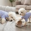 Striped Pattern Pet Clothes Thin Lightweight Canine Apparel Small Breed Dog Shirt  Home Leisure