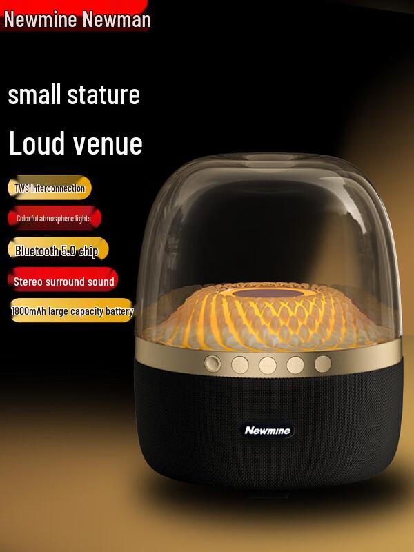 Newmine BT512 Bluetooth Desktop Speaker