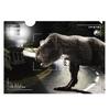 Ensky Jurassic New Dominion Clear File JURASSIC WORLD DOMINION 2 H310 X W220mm Made of PP World Approx.