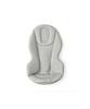 Ergobaby Evolve Sage FTEGEVLBNCSGGRNMSH Bouncer, Mesh, Green, Cuddle-like Comfort, Washable, Reclining,