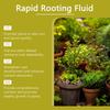 Zelená rostlinná zakořeňovací tekutina Rostlinná kořenová výživová tekutina Dusík Draslík Tekuté hnojivo 100 ml