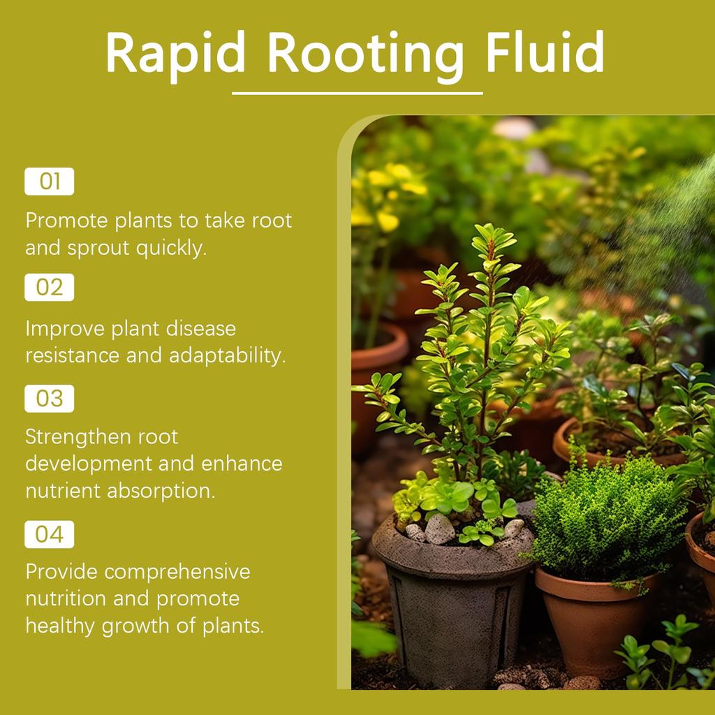 Zelená rostlinná zakořeňovací tekutina Rostlinná kořenová výživová tekutina Dusík Draslík Tekuté hnojivo 100 ml