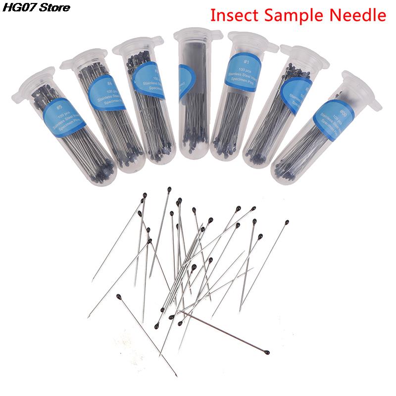 100 Pieces Insect Pins Specimen Needle Stainless Steel with Plastic Box for School Lab Entomology Body Dissection Insect Needle
