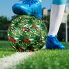 Pikmin Theme Size 5 Soccer Ball, Suitable for Both Indoor and Outdoor Matches, a Gift Suitable for Everyone.