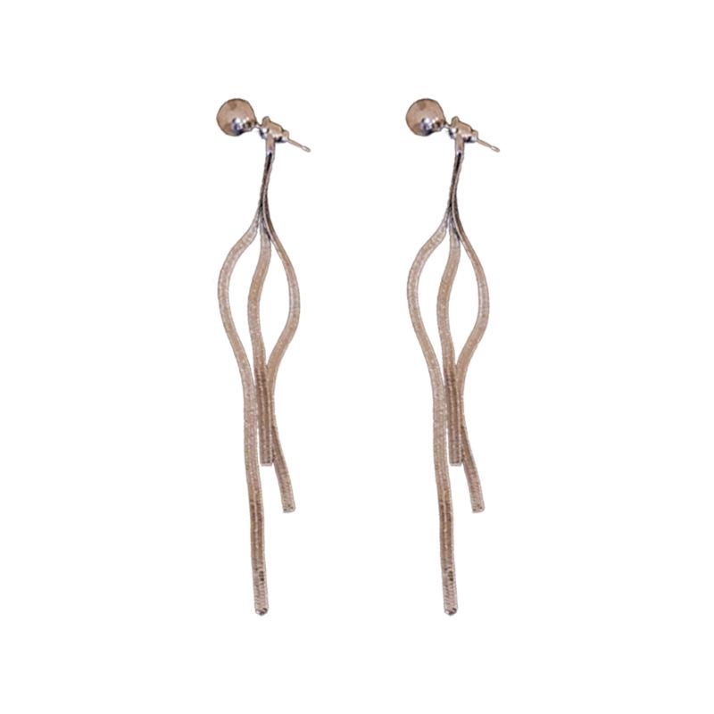 Stylish Silver Needle Earrings with Long Tassels